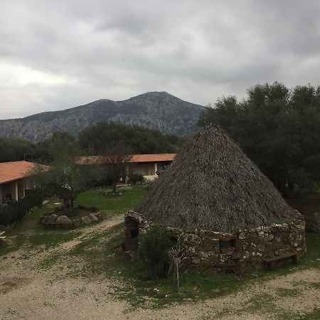 Turismo Rurale Su Cuile Villa Dorgali Ngoại thất bức ảnh