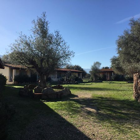 Turismo Rurale Su Cuile Villa Dorgali Ngoại thất bức ảnh