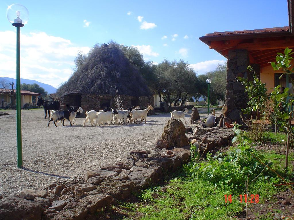 Turismo Rurale Su Cuile Villa Dorgali Ngoại thất bức ảnh