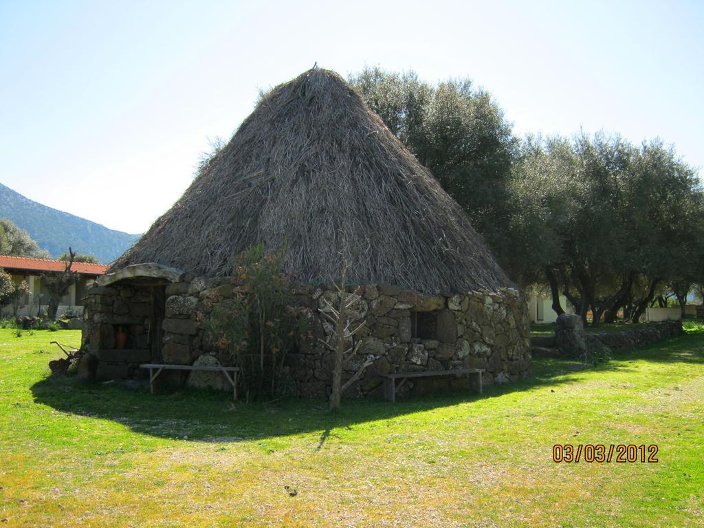 Turismo Rurale Su Cuile Villa Dorgali Ngoại thất bức ảnh