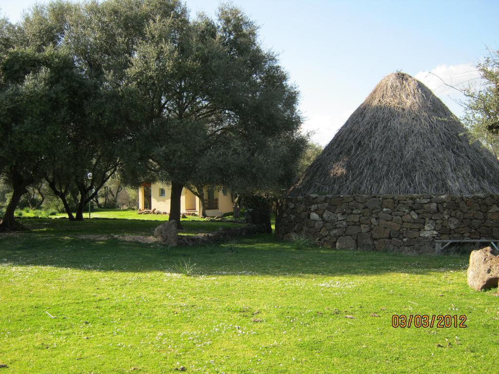 Turismo Rurale Su Cuile Villa Dorgali Ngoại thất bức ảnh