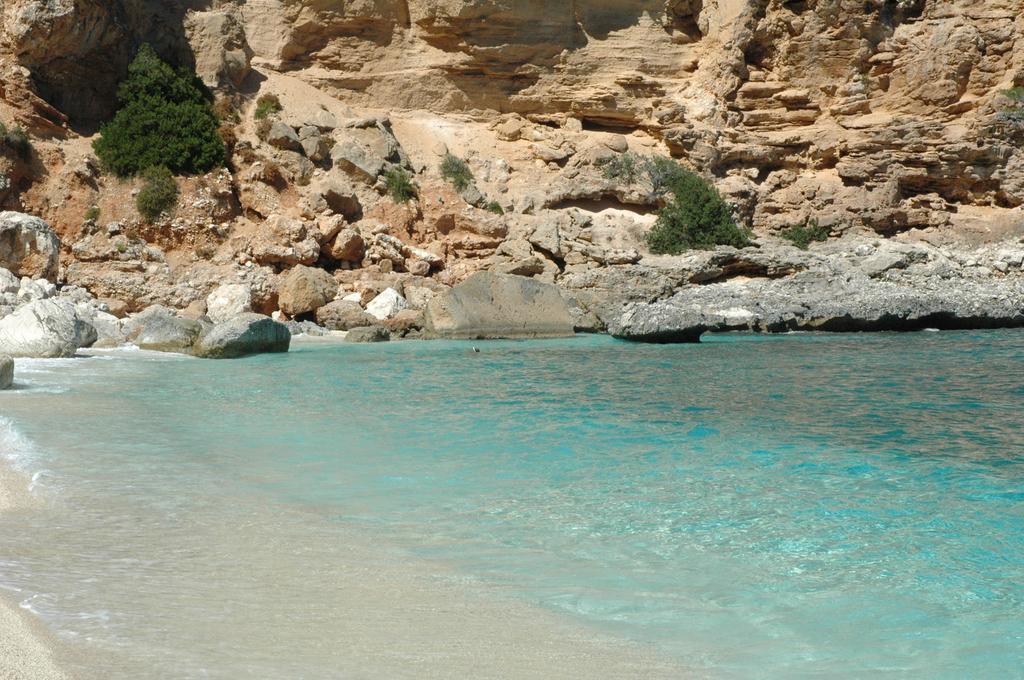 Turismo Rurale Su Cuile Villa Dorgali Ngoại thất bức ảnh