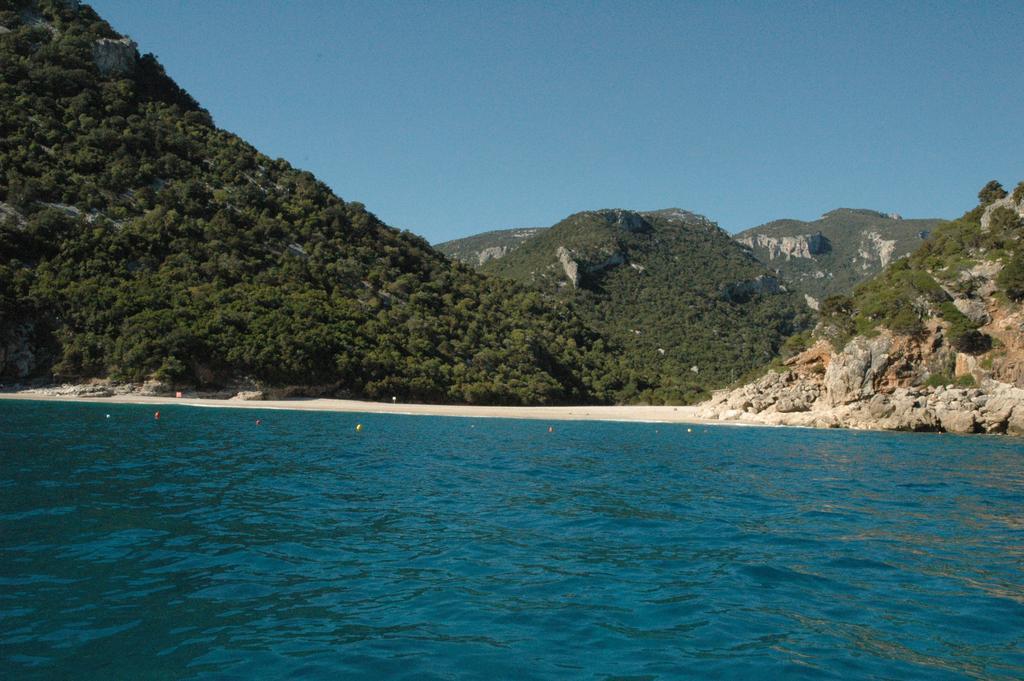 Turismo Rurale Su Cuile Villa Dorgali Ngoại thất bức ảnh
