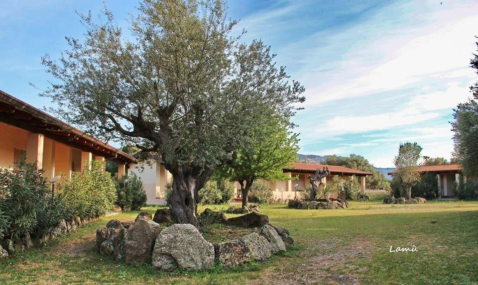Turismo Rurale Su Cuile Villa Dorgali Ngoại thất bức ảnh