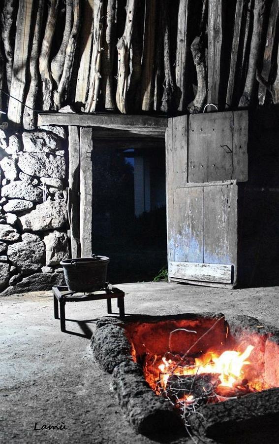 Turismo Rurale Su Cuile Villa Dorgali Ngoại thất bức ảnh